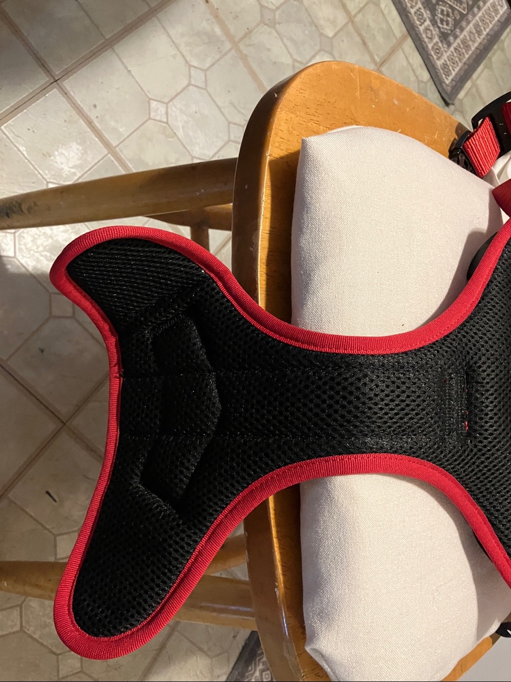 New. Kong tactical carrier for larger dogs or pets. Never used sz XL - Picture 11 of 12